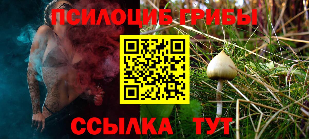 Галлюциногенные грибы Psilocybe Ишим